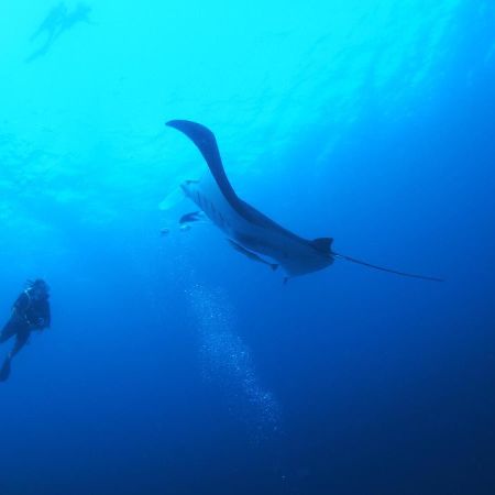 Отель Unwind Dhigurah Дигура Экстерьер фото
