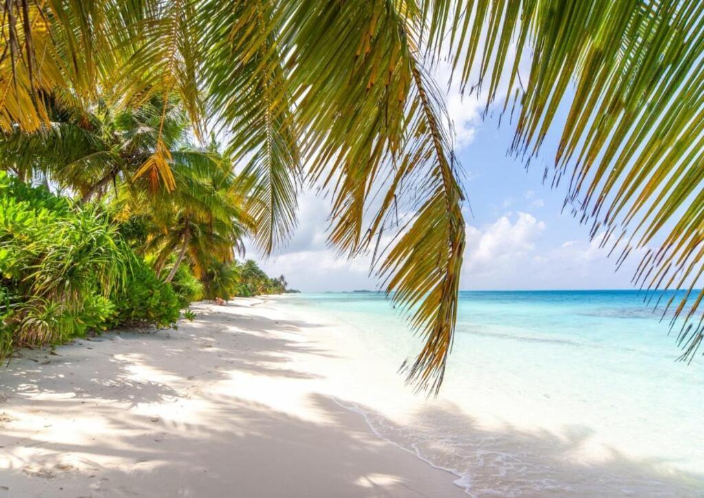 Отель Unwind Dhigurah Дигура Экстерьер фото