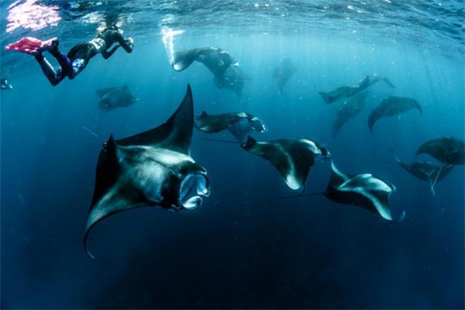 Отель Unwind Dhigurah Дигура Экстерьер фото