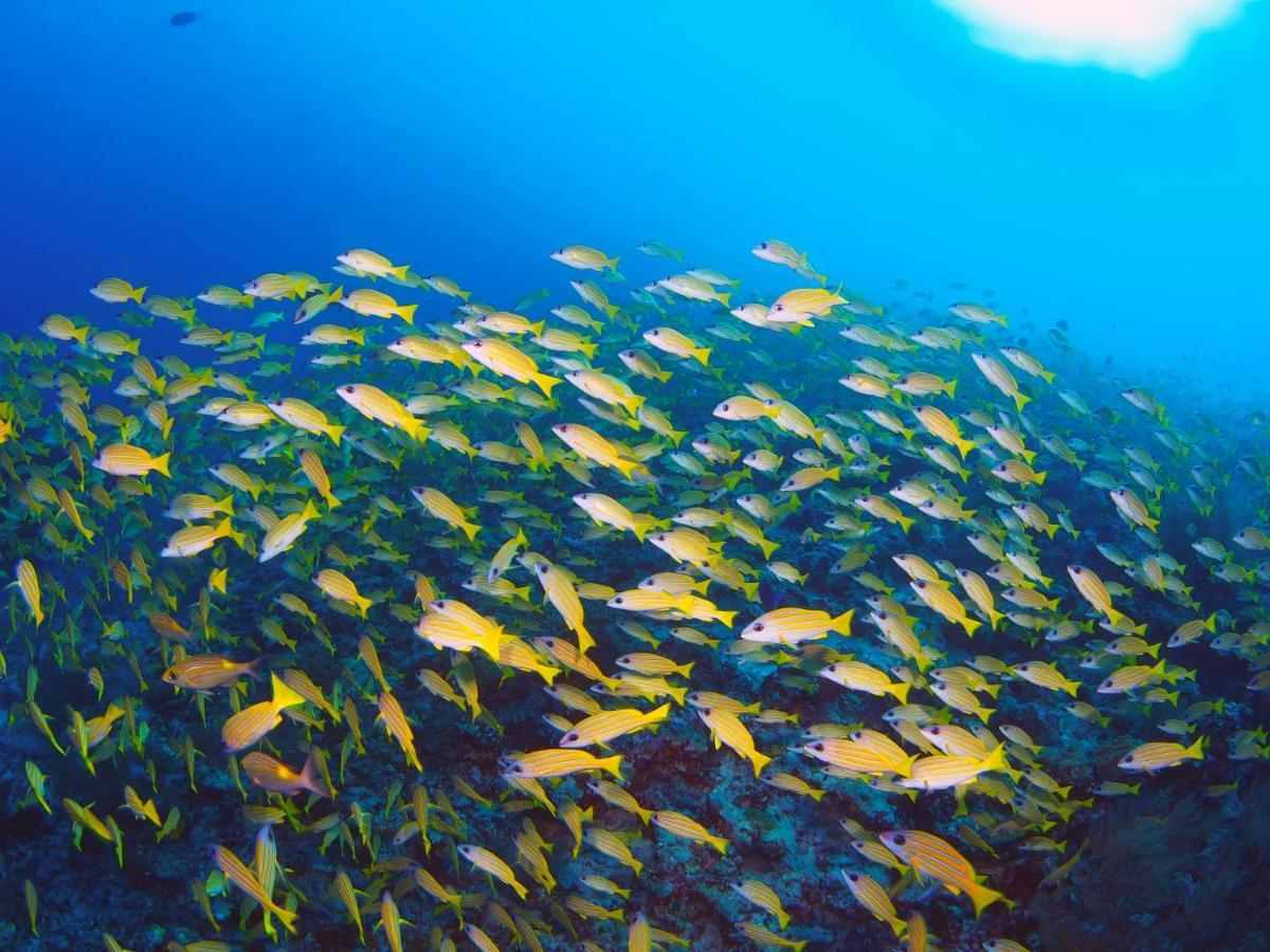 Отель Unwind Dhigurah Дигура Экстерьер фото