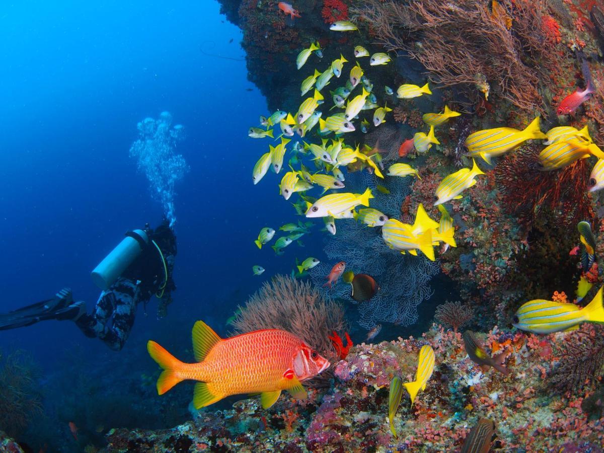 Отель Unwind Dhigurah Дигура Экстерьер фото