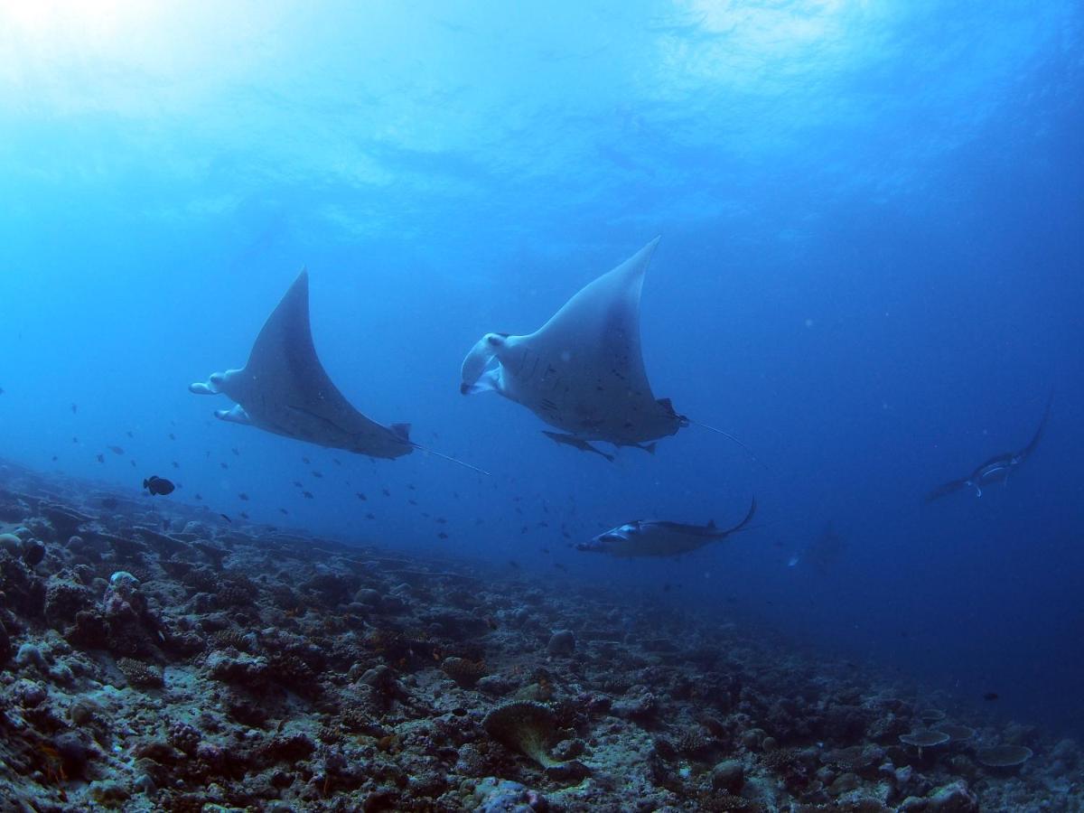 Отель Unwind Dhigurah Дигура Экстерьер фото